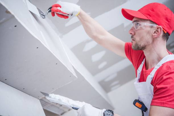 Mold Odor Removal Services in Webster, SD